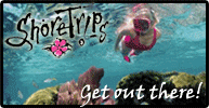 Save on Shore Excursions